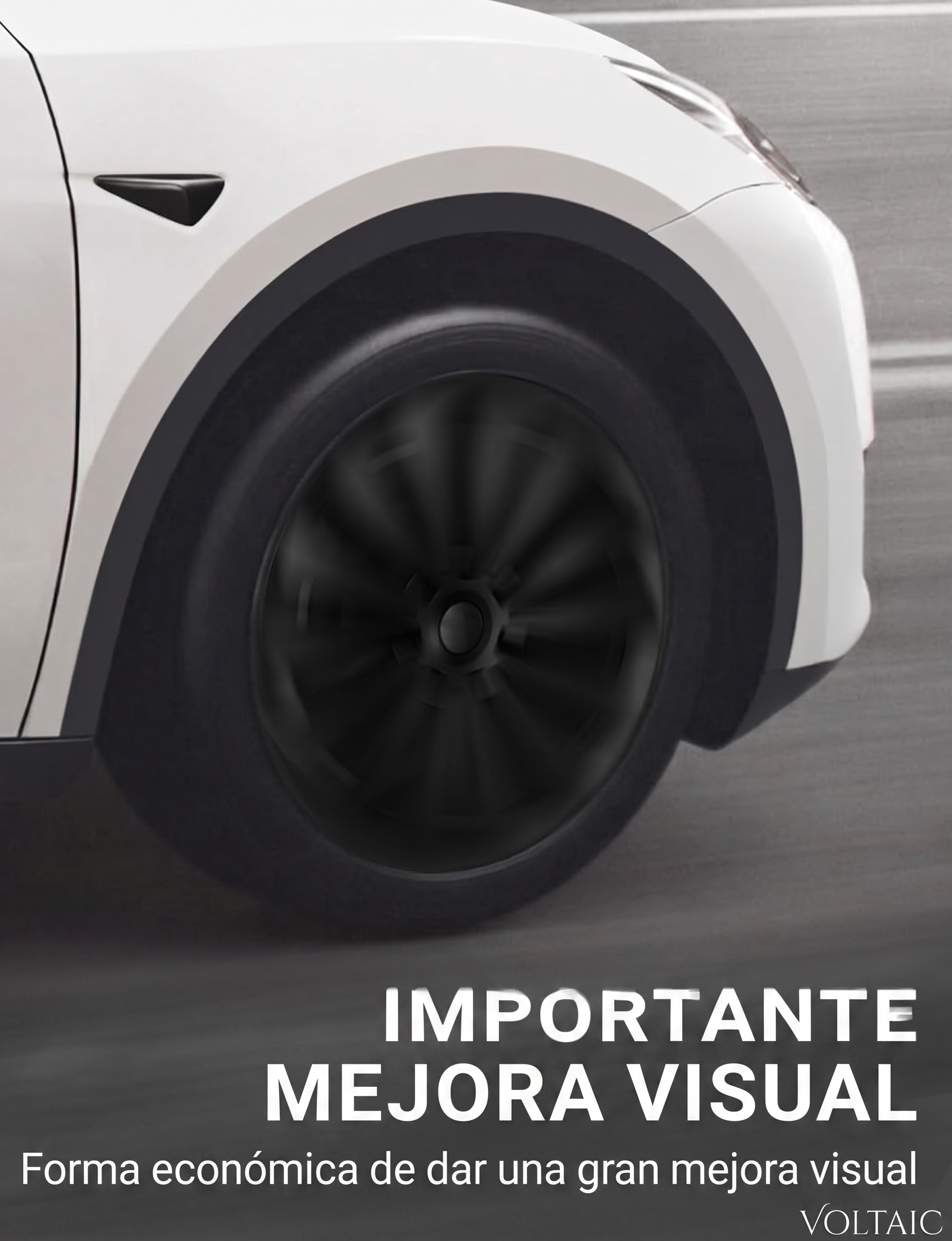 Tapas de rin 19" Tesla Model Y