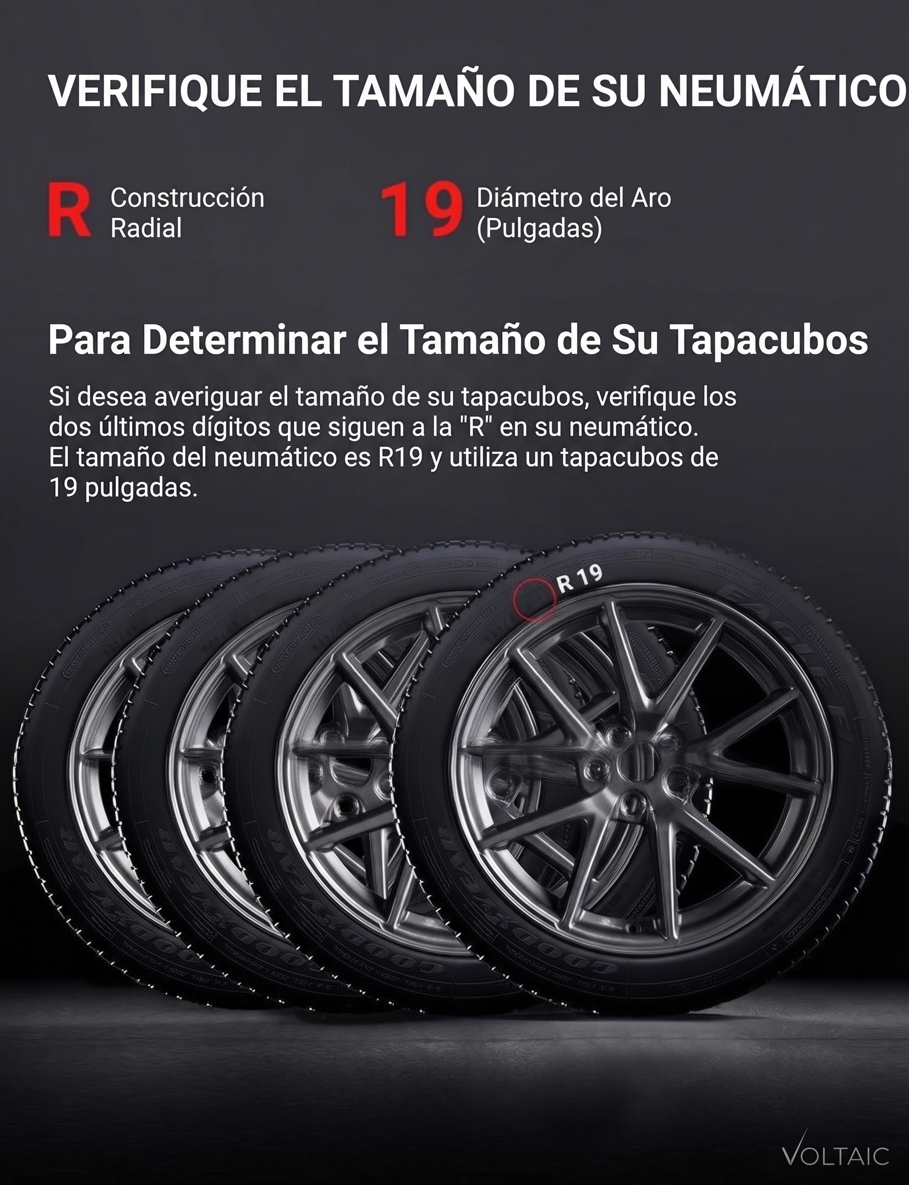 Tapas de rin 19" Tesla Model Y