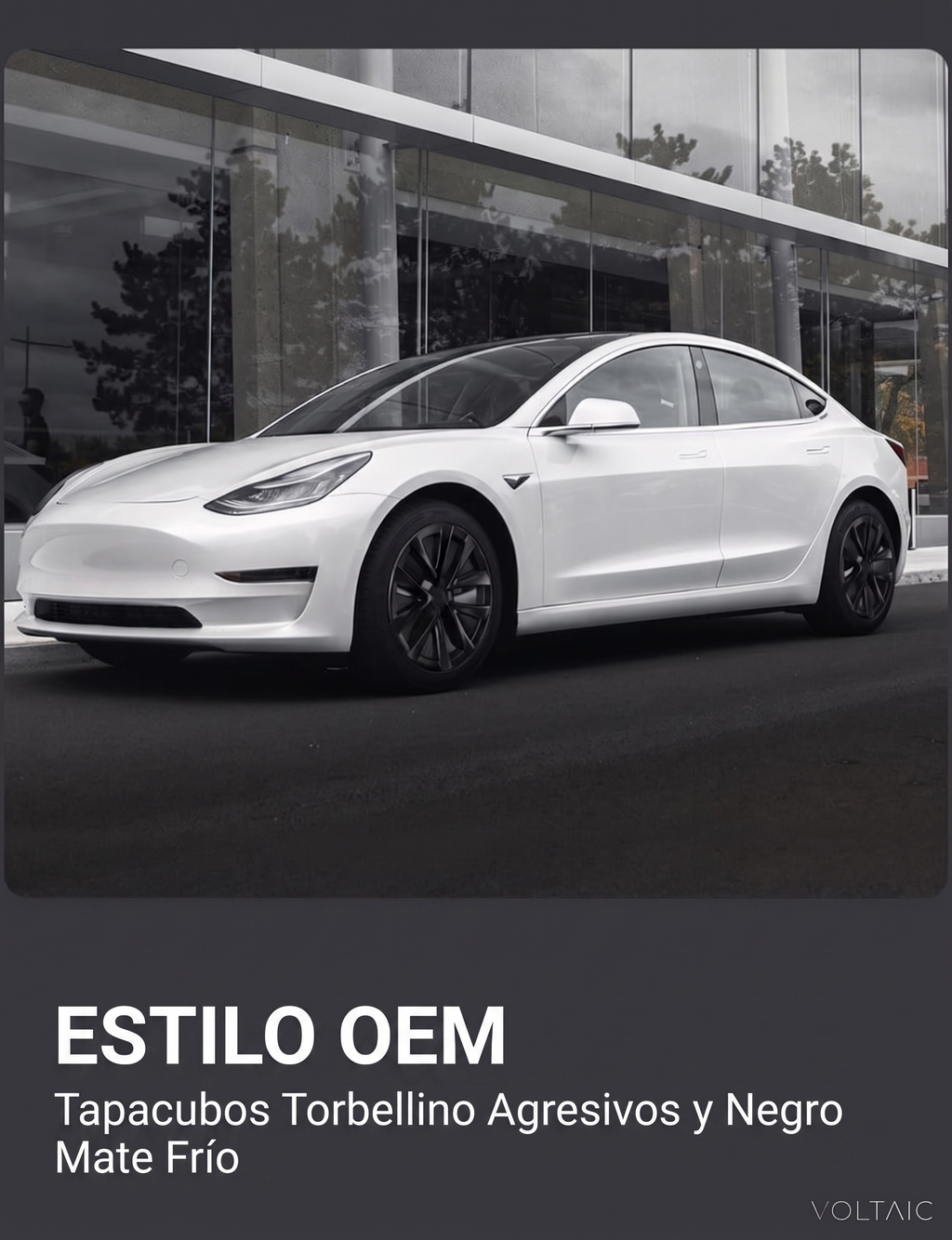Tapas de rin 19" Tesla Model Y